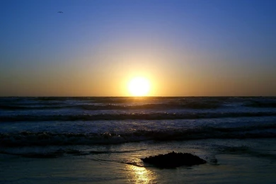 UCSD Beach Sunset Wallpapers