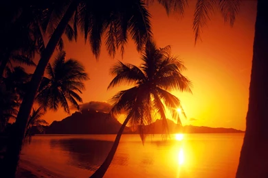 Beautiful Sunset Wallpapers Tropical Paradise Backgrounds