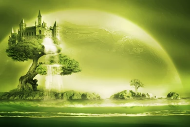 Green Tree HD Wallpapers   HD Wallpaper Backgrounds Of Your Choice