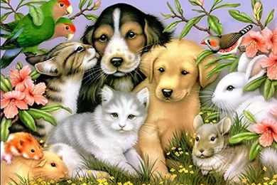 Kittens And Puppies And Bunnies