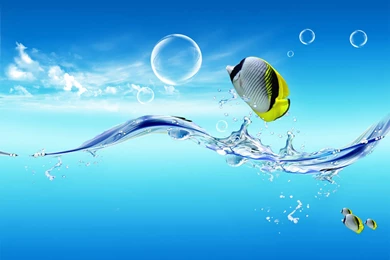 Wallpapers Ocean Life Fullscreen Place 1600x1200