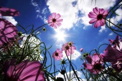 Beautiful Day HD Desktop Wallpapers : Widescreen : High Definition ...