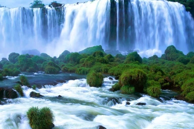 Beautiful scenery wallpaper flower wallpapers 182 54796 Desktop ...