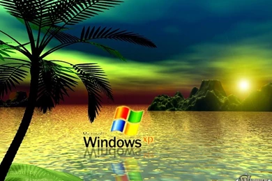 Hd Immagine Xp Palm Palm Windows Xp Computer Sfondi Hd Wallpapers ...