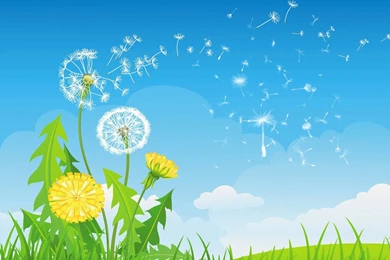 Floral Vector Flowers Wallpapers HD Download Of Pink Flowers