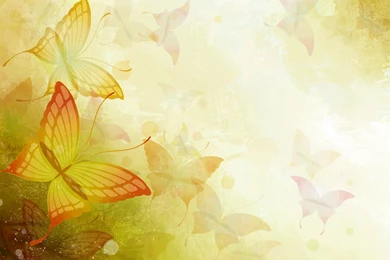 Vector Flower Wallpapers » WallDevil   Best Free HD Desktop And ...