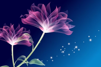 Transparent Flowers HD Spunky Wallpapers Free HD Wallpapers ...