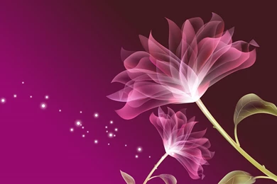 Stem And Leaf Petals Vector － Flower Wallpapers   Free Download ...