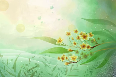 Backgrounds, Vectors, Flower, Awesome (