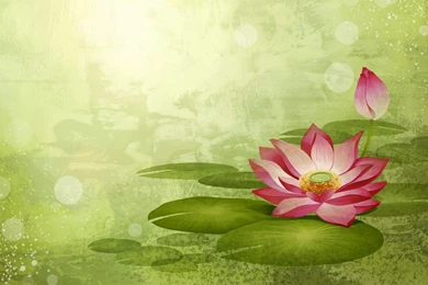 Description Vector Flower Wallpapers 011 Free Wallpapers Desktop ...
