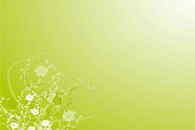 Download Flowers Vector Wallpapers 1024x768