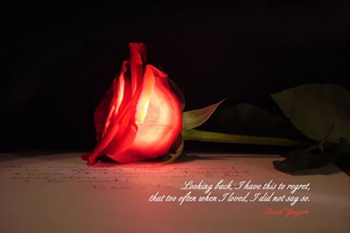 Love Quotes Wallpapers