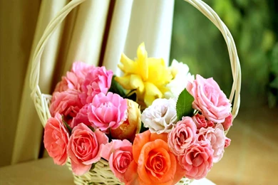 Totally Gorgeous Rose Wallpapers