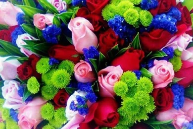 Colorful Rose Bouquet 1203645 Wallpapers   (