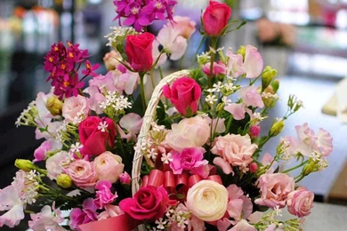 Blooming Flowers Images With High Resolution   Image Wallpapers