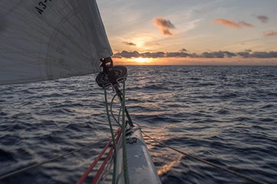 Team SCA Video & Images