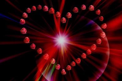 Love Roses Wallpapers 87, Rose Flower Images, Rose Pictures And ...