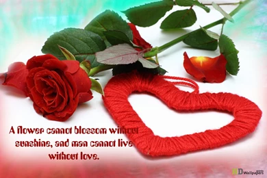 RePin Image: Roses The Rose Of Love On Pinterest