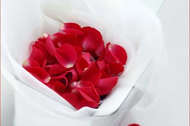 Nice And New Love Images   Image Wallpapers