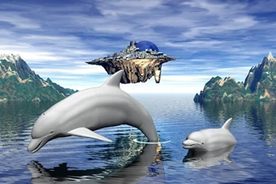 Dolphin 7 Backgrounds Smartphone HD Wallpapers   Gallsource.com