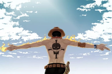 High Resolution Best Anime One Piece Wallpapers HD 8 Full Size ...