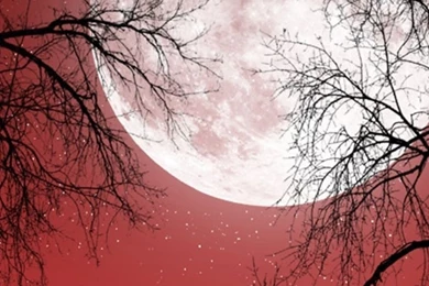 1080x1920 Full Moon Red Sky Dark Trees Galaxy S4 Wallpapers