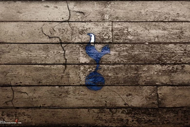 Tottenham Hotspur HD Wallpapers