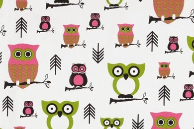 Premier Prints Hooty Owl, Candy Pink/Chartreuse   Eclectic ...