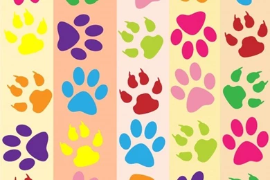 Dog Paw Wallpapers   Wallpapers Zone