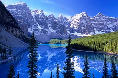 Free Wallpapers For Desktop Collection (33+)