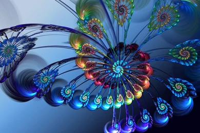 Flowers Wallpapers For Desktop 3d – Wallpapers