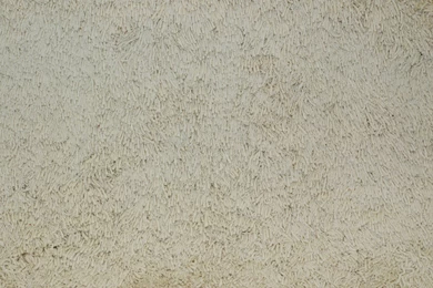 Texture Canvas Woven Palace