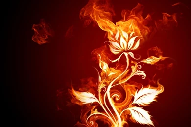 3D Fire Book Image   3D HD Wallpapers