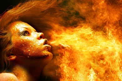 Fire Dragon Wallpapers 14772