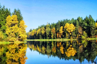 Full Hd Widescreen Nature Wallpapers