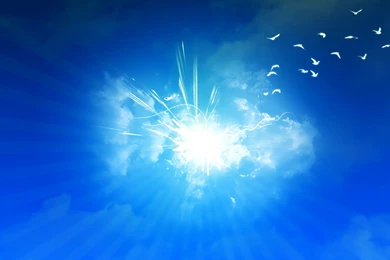 Computer, Backgrounds, Images, Wallpaper, Panda, Animal (