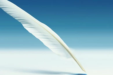 White Feather Pen HD Pleasing Wallpapers Free HD Wallpapers ...