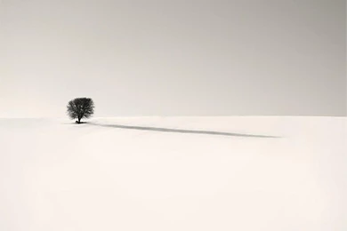 Category: Art Gallery Wallpapers ›› Page 0