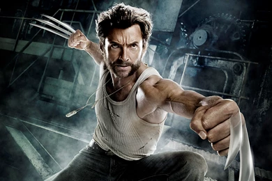 Best Movie Wallpapers The Wolverine Desktop Back (6172)