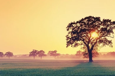 Full HD Wallpapers Dekstop 6681n   Wallpapers HD Fix