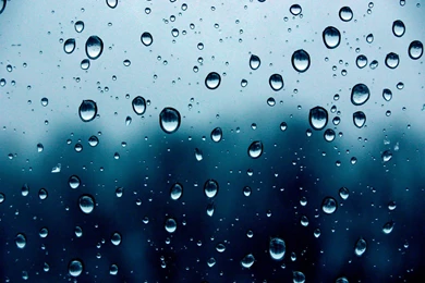Gallery For > Water Drops Wallpapers