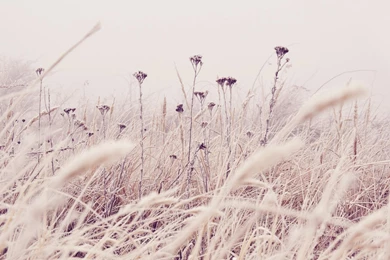 Subtle Wallpapers   HD Wallpapers