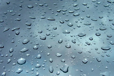 Development: Nature Water Drops, Picture Nr. 13422