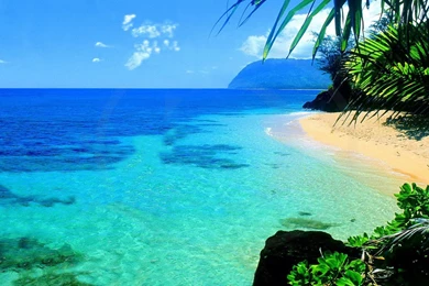 Free Hawaii Desktop Wallpapers   Wallpapers Cave