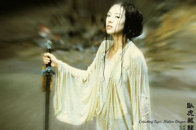 Crouching Tiger, Hidden Dragon Crouching Tiger, Hidden Dragon ...
