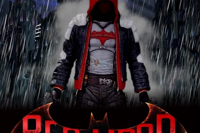 Batman Under The Red Hood Wallpaper_other_health Questions ...