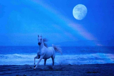 Horse Buggy 300dpi My Ride One Horse Power Springs Two 1600x1067 ...