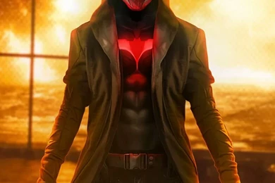 Red Hood By Boss Logic : Batman