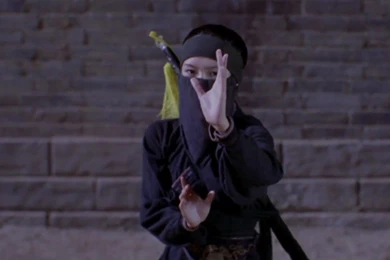 HD Picture  Crouching Tiger, Hidden Dragon (