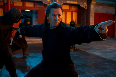 Crouching Tiger Wallpaper, Movies / Recent: Crouching Tiger ...